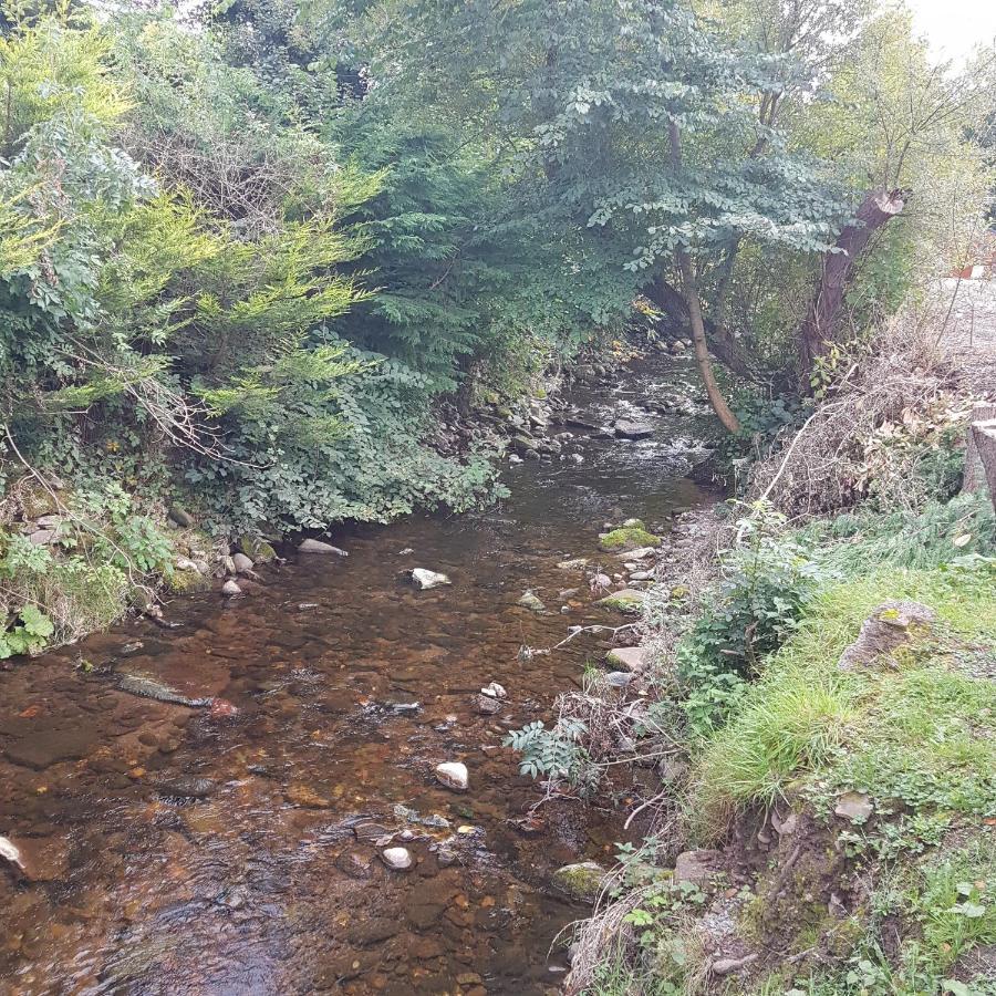 Bear Lodge Auchterarder Luaran gambar